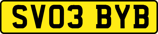 SV03BYB