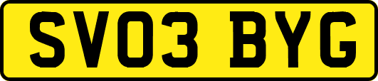 SV03BYG