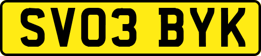 SV03BYK