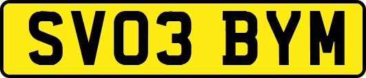 SV03BYM