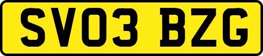 SV03BZG