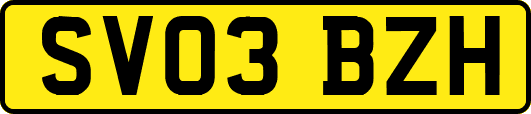 SV03BZH
