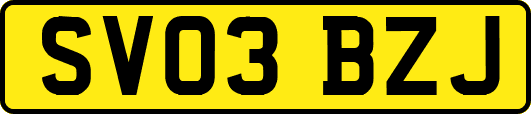 SV03BZJ