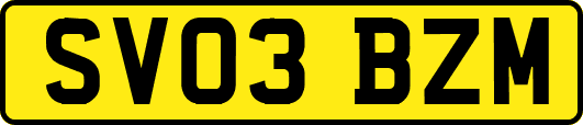 SV03BZM
