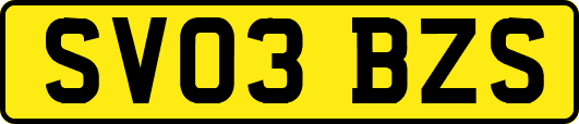 SV03BZS