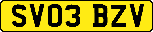 SV03BZV