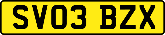 SV03BZX