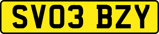 SV03BZY