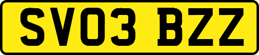 SV03BZZ