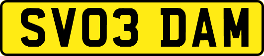 SV03DAM