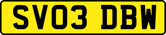 SV03DBW
