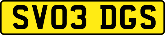SV03DGS