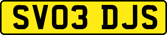 SV03DJS