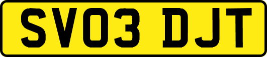 SV03DJT