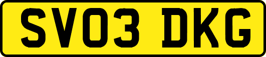 SV03DKG