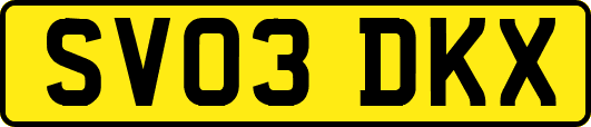 SV03DKX