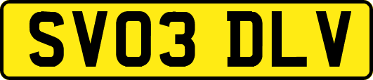 SV03DLV