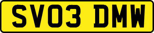 SV03DMW
