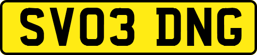 SV03DNG