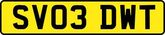 SV03DWT