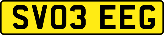 SV03EEG