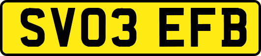 SV03EFB