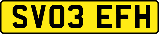 SV03EFH