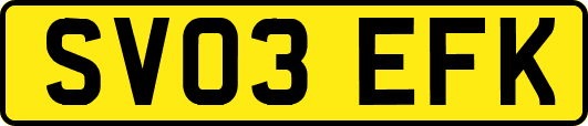 SV03EFK
