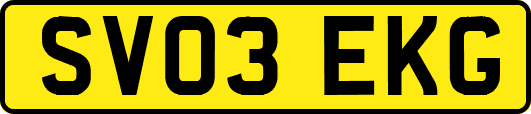 SV03EKG