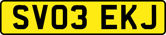 SV03EKJ