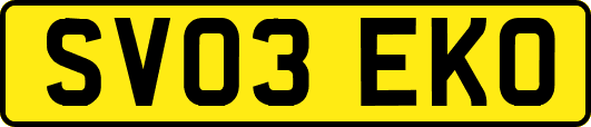 SV03EKO