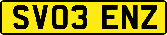 SV03ENZ