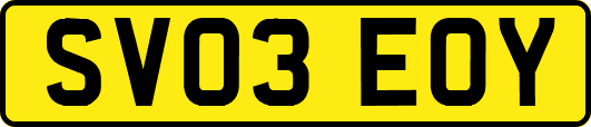 SV03EOY