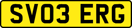 SV03ERG