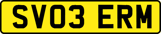 SV03ERM