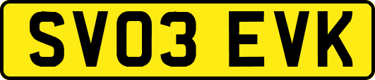 SV03EVK