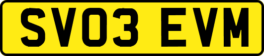 SV03EVM