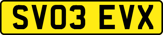 SV03EVX
