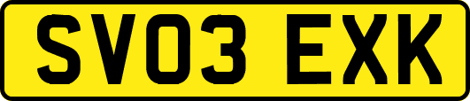 SV03EXK