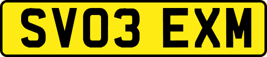 SV03EXM
