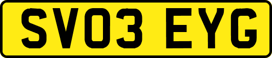 SV03EYG