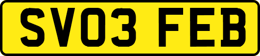 SV03FEB