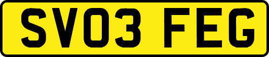 SV03FEG