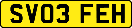 SV03FEH