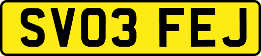 SV03FEJ