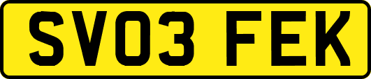SV03FEK