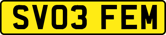 SV03FEM