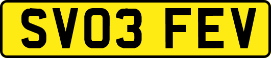 SV03FEV