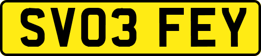 SV03FEY
