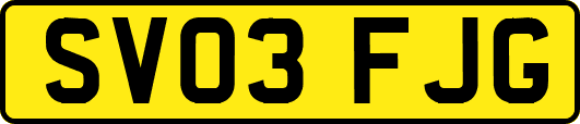 SV03FJG